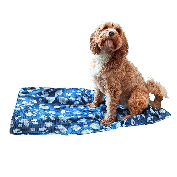 dock and bay towels dog