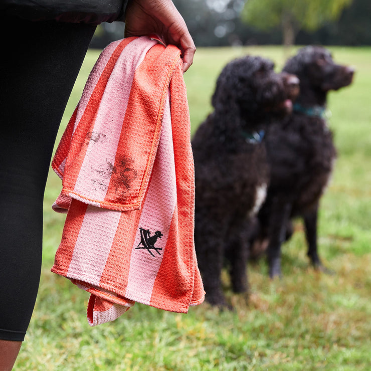 dock and bay dog towels