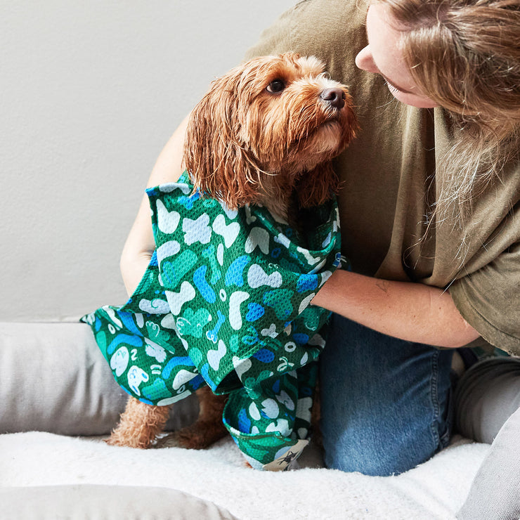 dock and bay dog towels