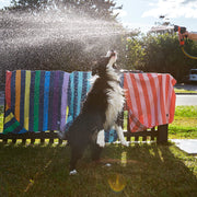 Dock & Bay - Point of Sale Display Small (Dog Towel)