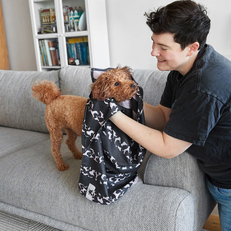 dock and bay dog towels