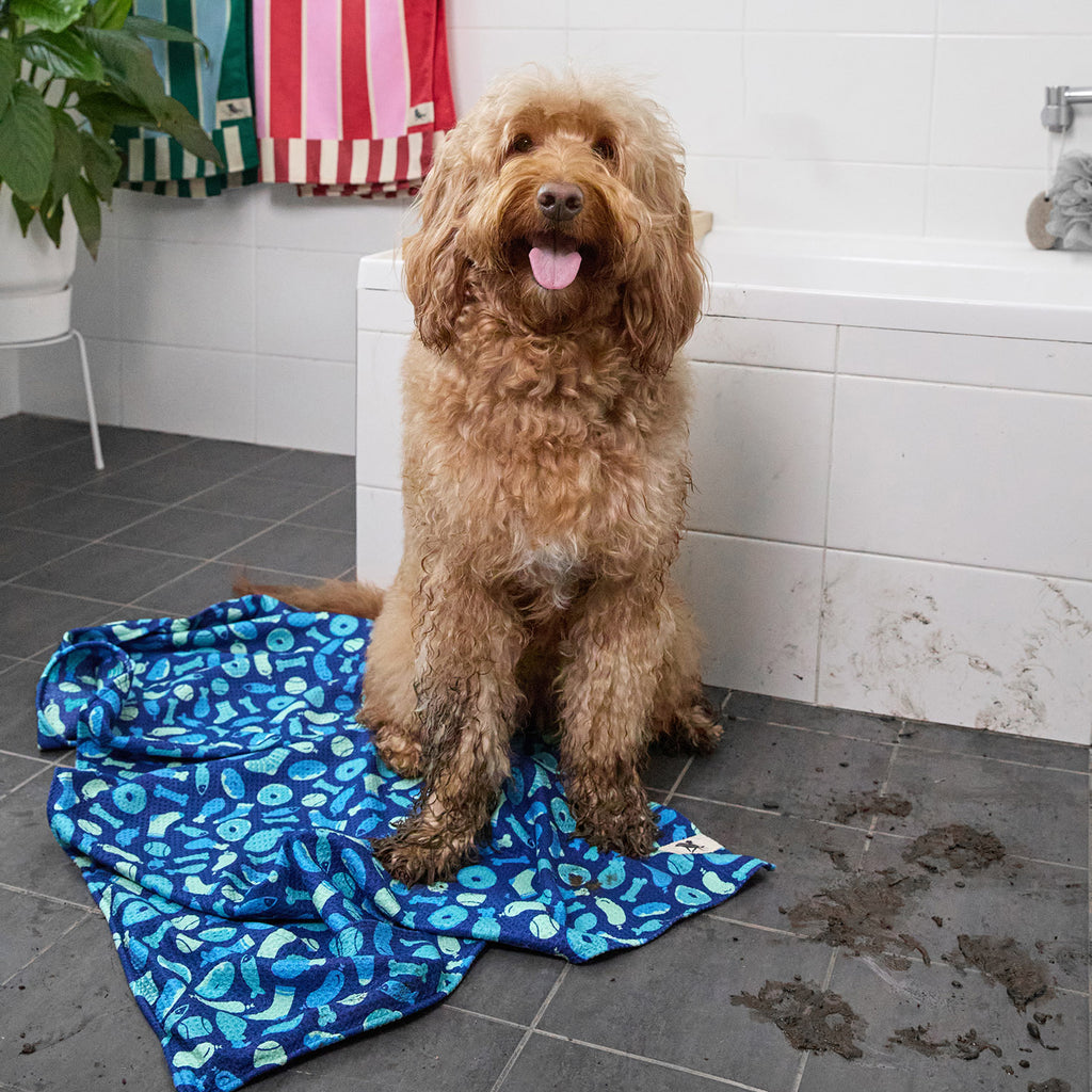 dock and bay towels dog