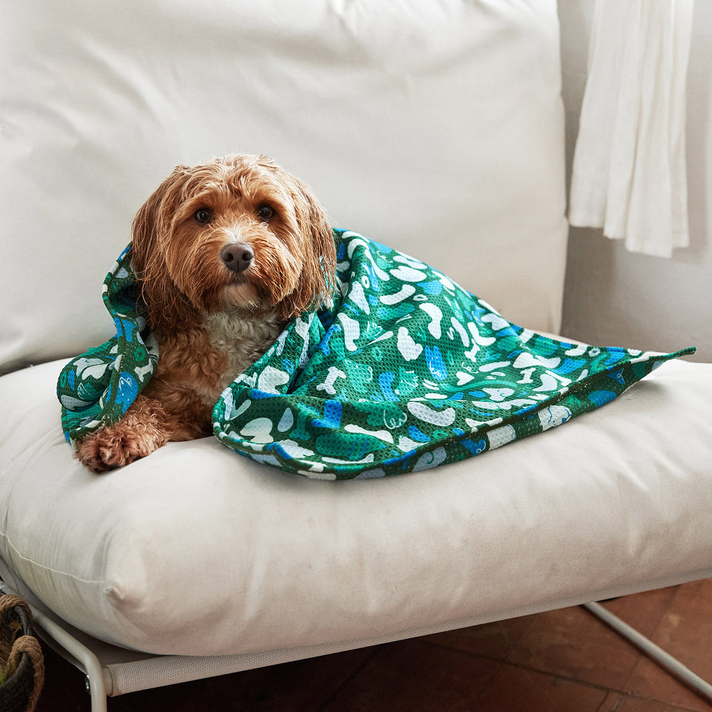 dock and bay towels dog