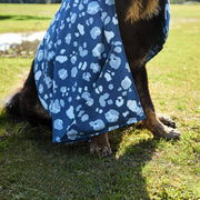 dock and bay towels dog