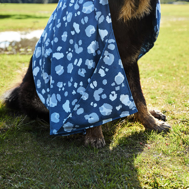 dock and bay towels dog